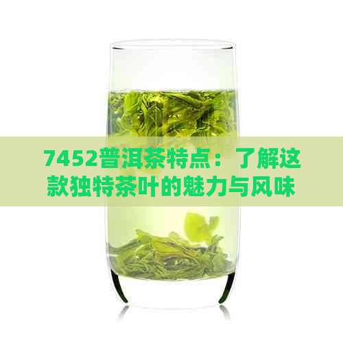 7452普洱茶特点：了解这款独特茶叶的魅力与风味