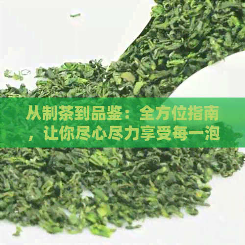 从制茶到品鉴：全方位指南，让你尽心尽力享受每一泡普洱茶的魅力