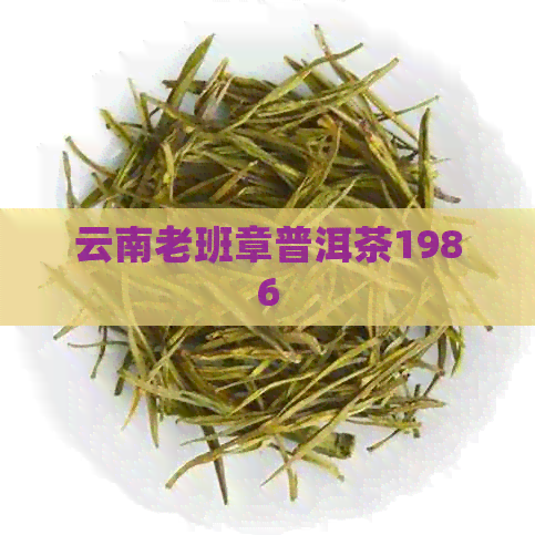 云南老班章普洱茶1986