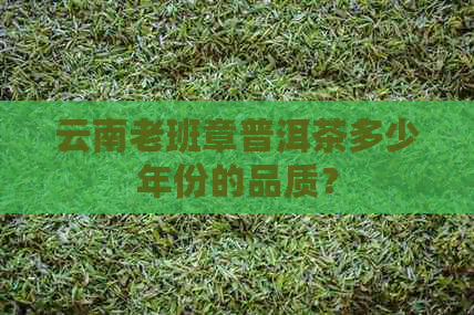 云南老班章普洱茶多少年份的品质？