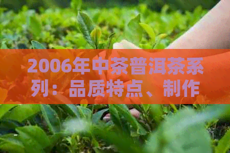 2006年中茶普洱茶系列：品质特点、制作工艺、陈化收藏与品饮口感全方位解析