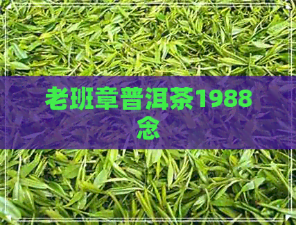 老班章普洱茶1988念