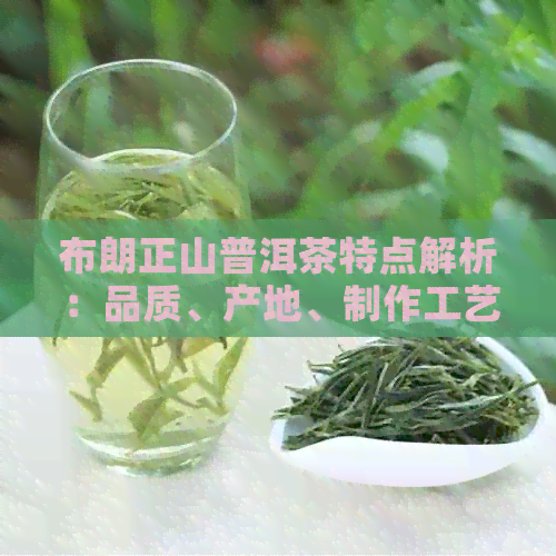 布朗正山普洱茶特点解析：品质、产地、制作工艺与品饮体验全方位剖析