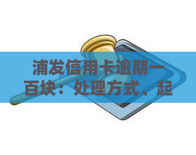 浦发信用卡逾期一百块：处理方式、起诉风险及2021新法规解读