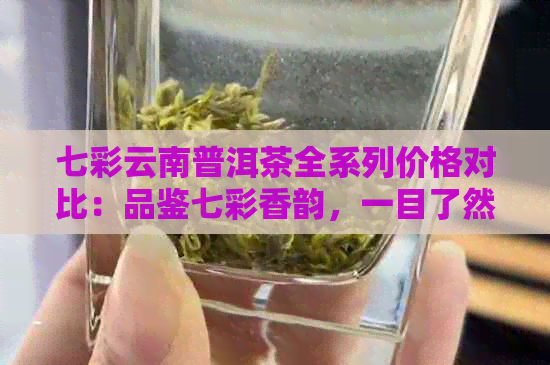 七彩云南普洱茶全系列价格对比：品鉴七彩香韵，一目了然的购买指南