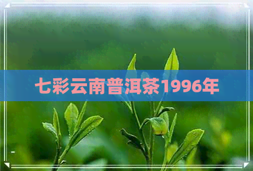 七彩云南普洱茶1996年