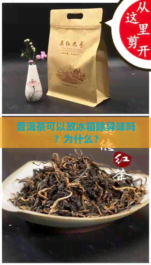 普洱茶可以放冰箱除异味吗？为什么？