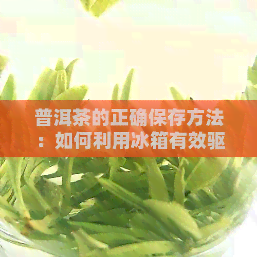 普洱茶的正确保存方法：如何利用冰箱有效驱除异味