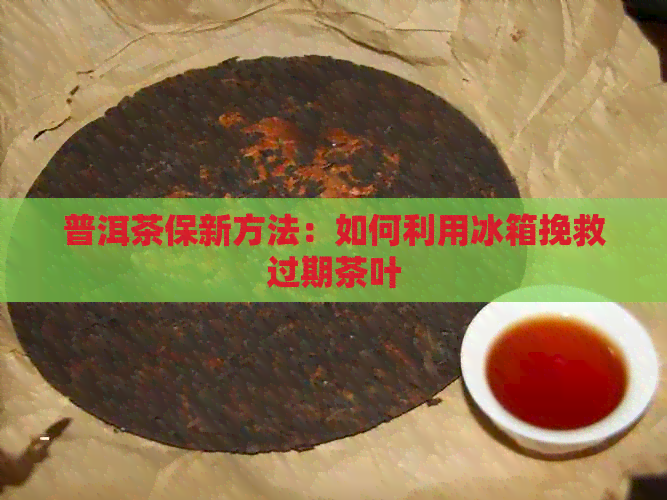 普洱茶保新方法：如何利用冰箱挽救过期茶叶