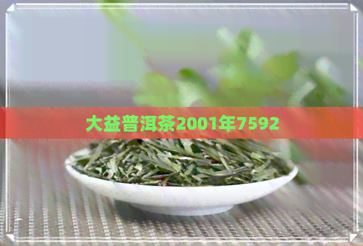 大益普洱茶2001年7592