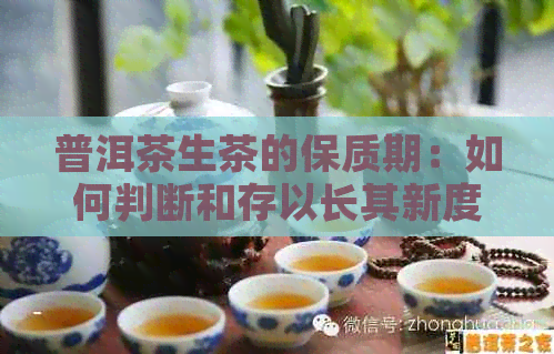 普洱茶生茶的保质期：如何判断和存以长其新度？