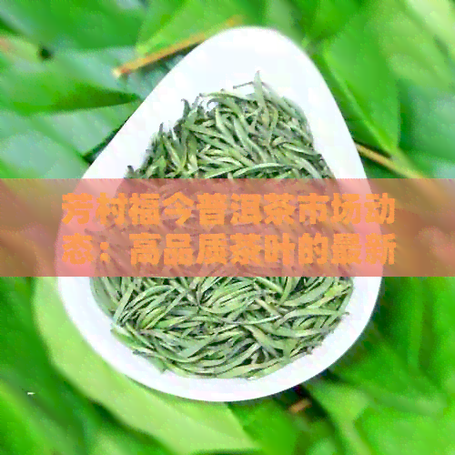 芳村福今普洱茶市场动态：高品质茶叶的最新价格与供应情况