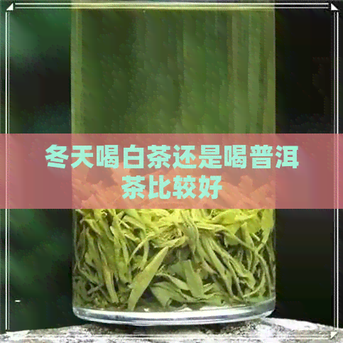 冬天喝白茶还是喝普洱茶比较好