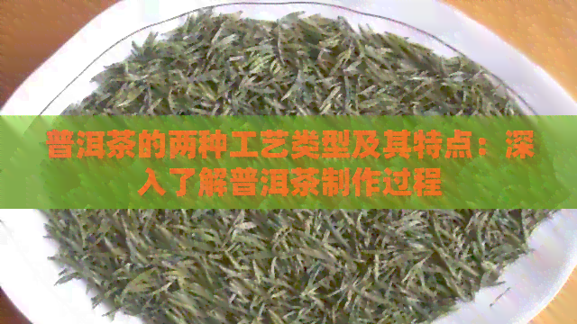 普洱茶的两种工艺类型及其特点：深入了解普洱茶制作过程