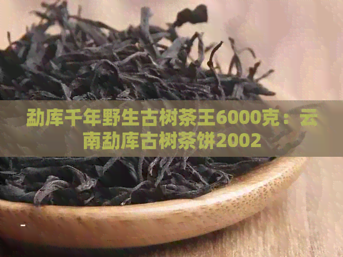 勐库千年野生古树茶王6000克：云南勐库古树茶饼2002