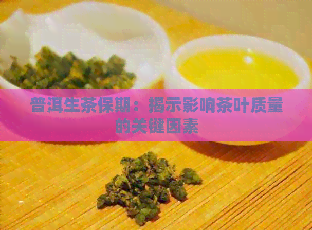 普洱生茶保期：揭示影响茶叶质量的关键因素