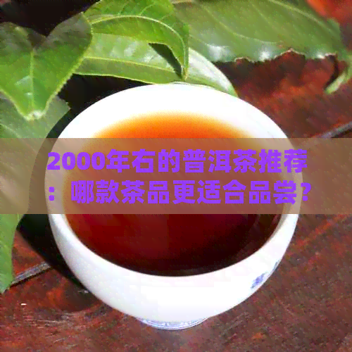 2000年右的普洱茶推荐：哪款茶品更适合品尝？