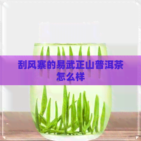 刮风寨的易武正山普洱茶怎么样