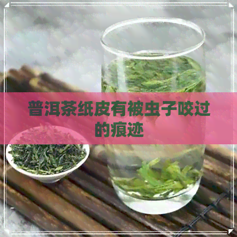 普洱茶纸皮有被虫子咬过的痕迹