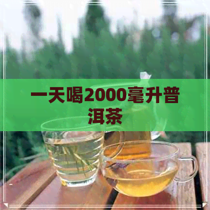 一天喝2000毫升普洱茶