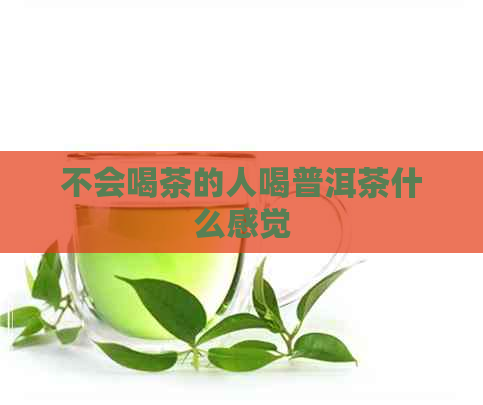 不会喝茶的人喝普洱茶什么感觉