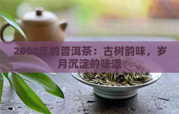 2000年的普洱茶：古树韵味，岁月沉淀的味道