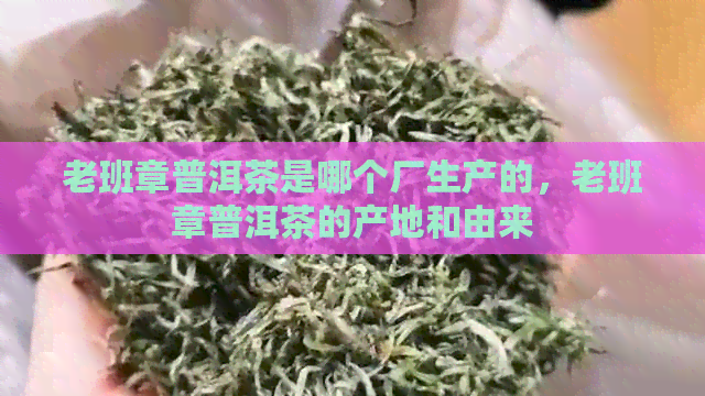 老班章普洱茶是哪个厂生产的，老班章普洱茶的产地和由来