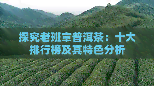 探究老班章普洱茶：十大排行榜及其特色分析