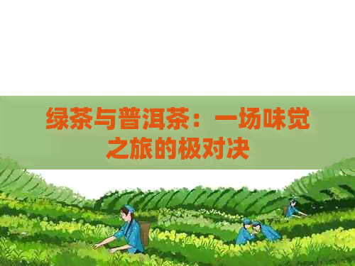 绿茶与普洱茶：一场味觉之旅的极对决