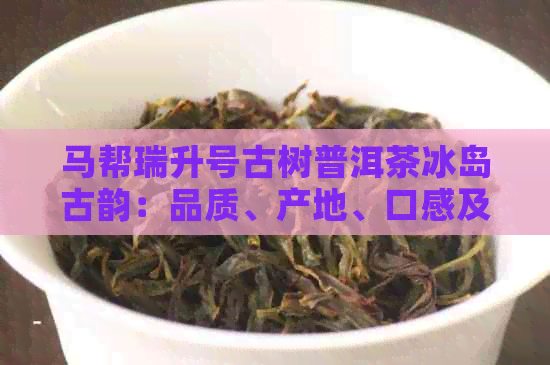 马帮瑞升号古树普洱茶冰岛古韵：品质、产地、口感及制作工艺的全面解析