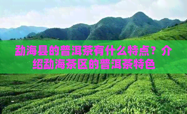 勐海县的普洱茶有什么特点？介绍勐海茶区的普洱茶特色