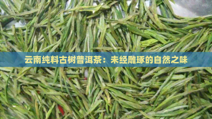 云南纯料古树普洱茶：未经雕琢的自然之味