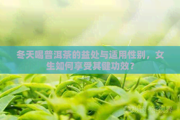 冬天喝普洱茶的益处与适用性别，女生如何享受其健功效？