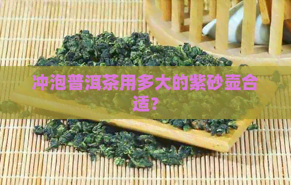 冲泡普洱茶用多大的紫砂壶合适？