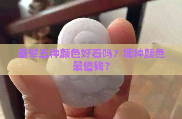 翡翠五种颜色好看吗？哪种颜色最值钱？