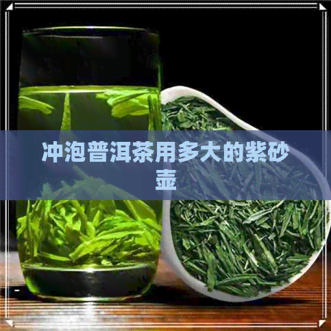 冲泡普洱茶用多大的紫砂壶