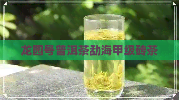 龙园号普洱茶勐海甲级砖茶