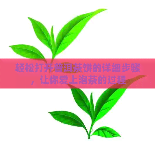 轻松打开普洱茶饼的详细步骤，让你爱上泡茶的过程