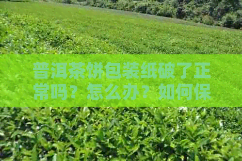 普洱茶饼包装纸破了正常吗？怎么办？如何保存？