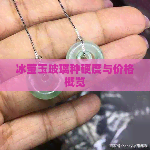 冰莹玉玻璃种硬度与价格概览