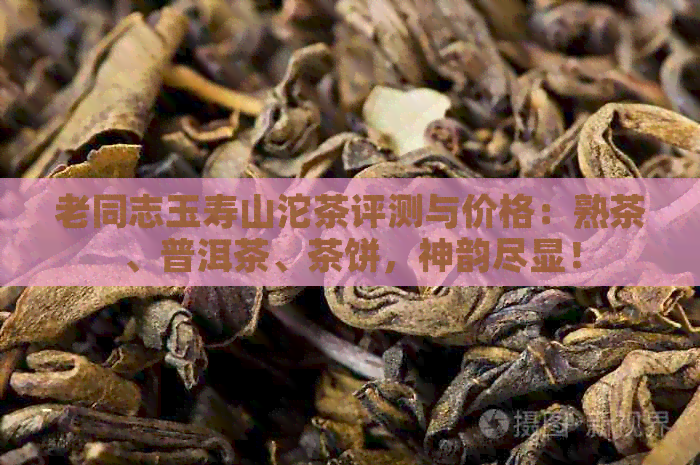 老同志玉寿山沱茶评测与价格：熟茶、普洱茶、茶饼，神韵尽显！