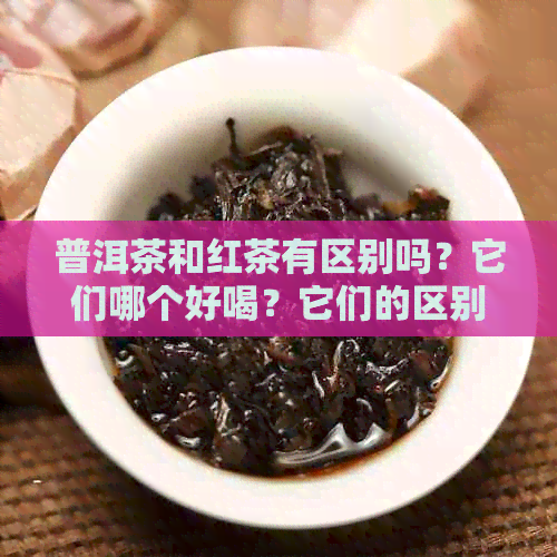 普洱茶和红茶有区别吗？它们哪个好喝？它们的区别是什么？