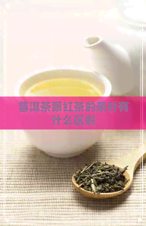 普洱茶跟红茶的茶叶有什么区别