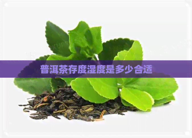 普洱茶存度湿度是多少合适