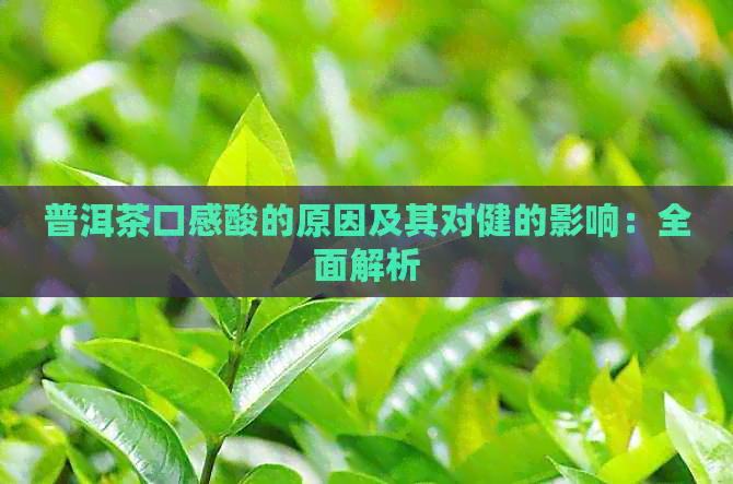 普洱茶口感酸的原因及其对健的影响：全面解析