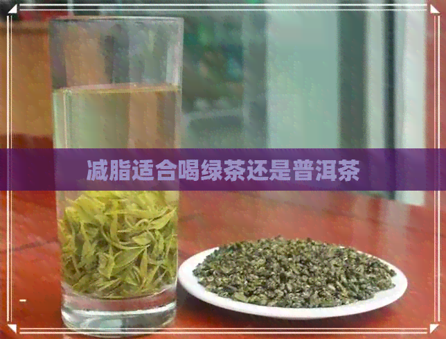 减脂适合喝绿茶还是普洱茶