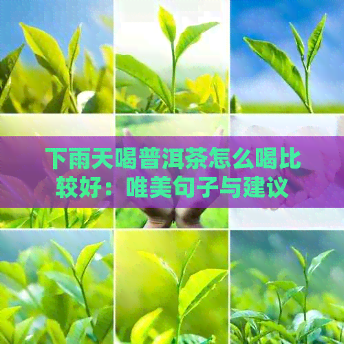 下雨天喝普洱茶怎么喝比较好：唯美句子与建议