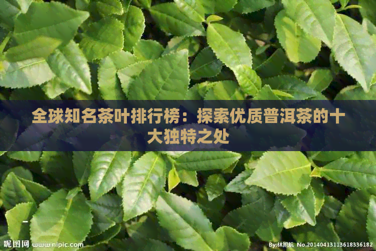 全球知名茶叶排行榜：探索优质普洱茶的十大独特之处