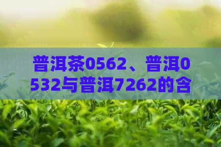 普洱茶0562、普洱0532与普洱7262的含义，以及普洱0246相关解读