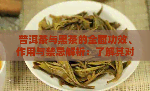 普洱茶与黑茶的全面功效、作用与禁忌解析：了解其对健的影响和适用人群